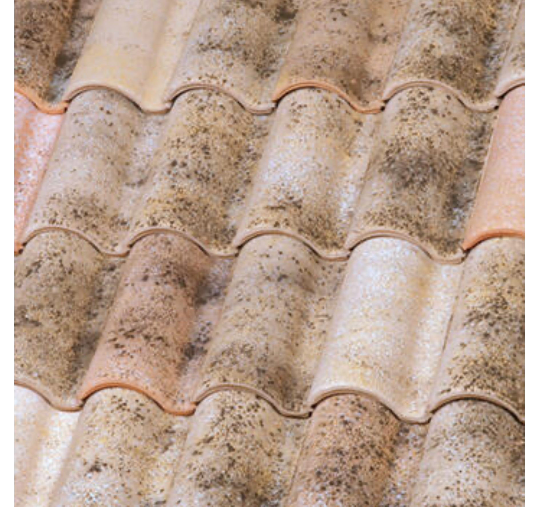 Cerámica mixta holandesa – 47×28,6 cm