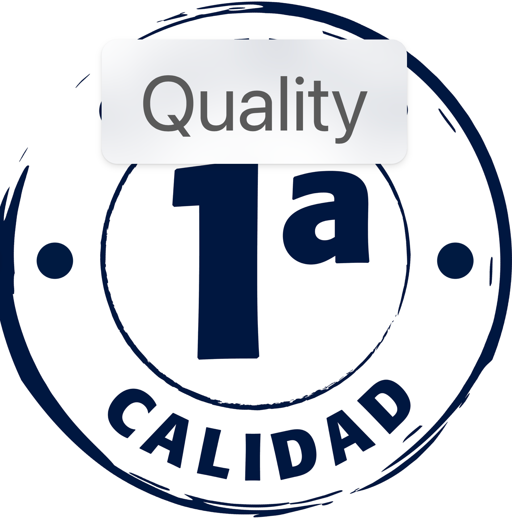 XXL Venato White Pulido porcelain ceramic tile – 120 × 260 cm