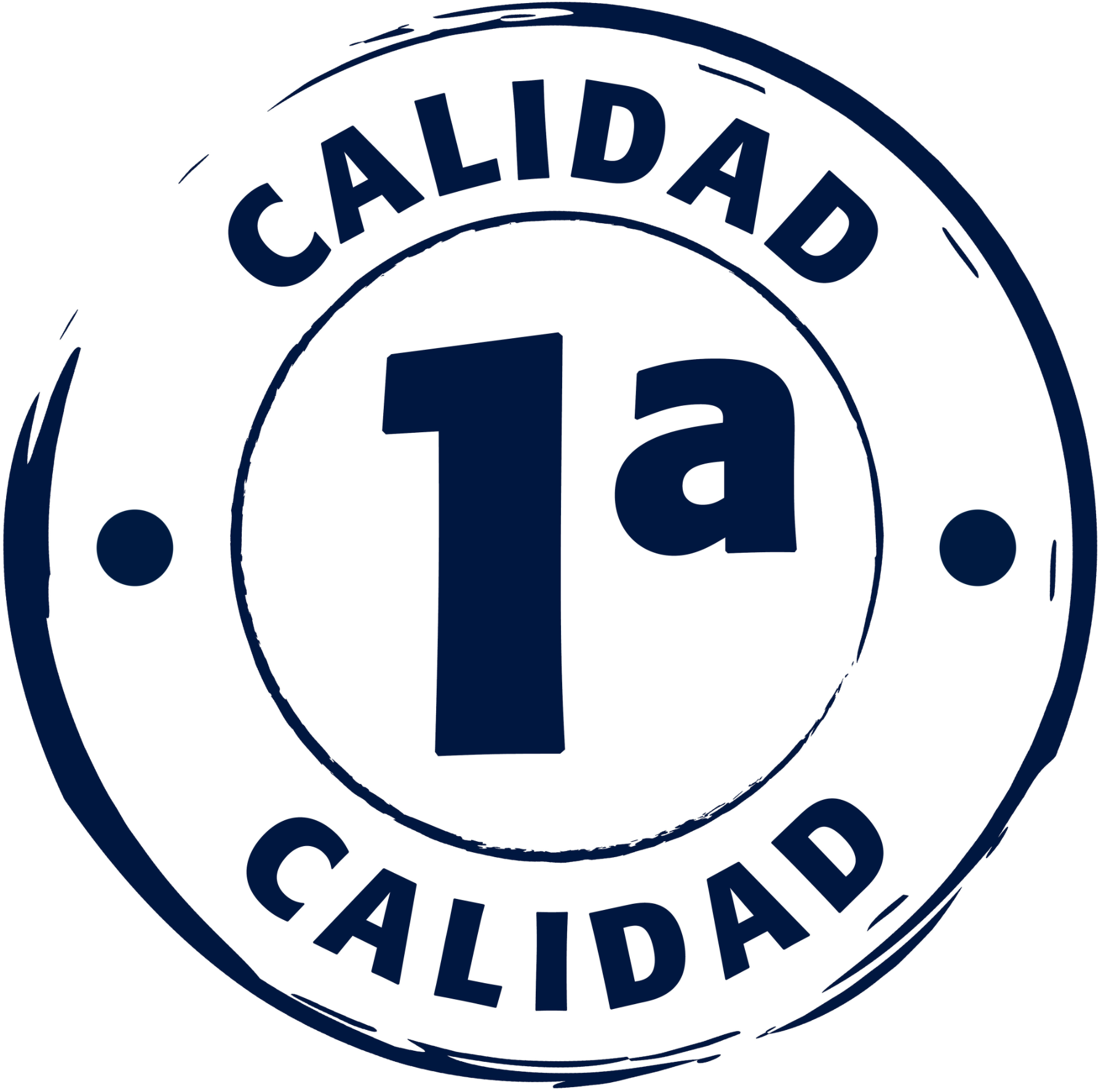 Tamujar Natural porcelain exterior tile – 60 × 60 cm