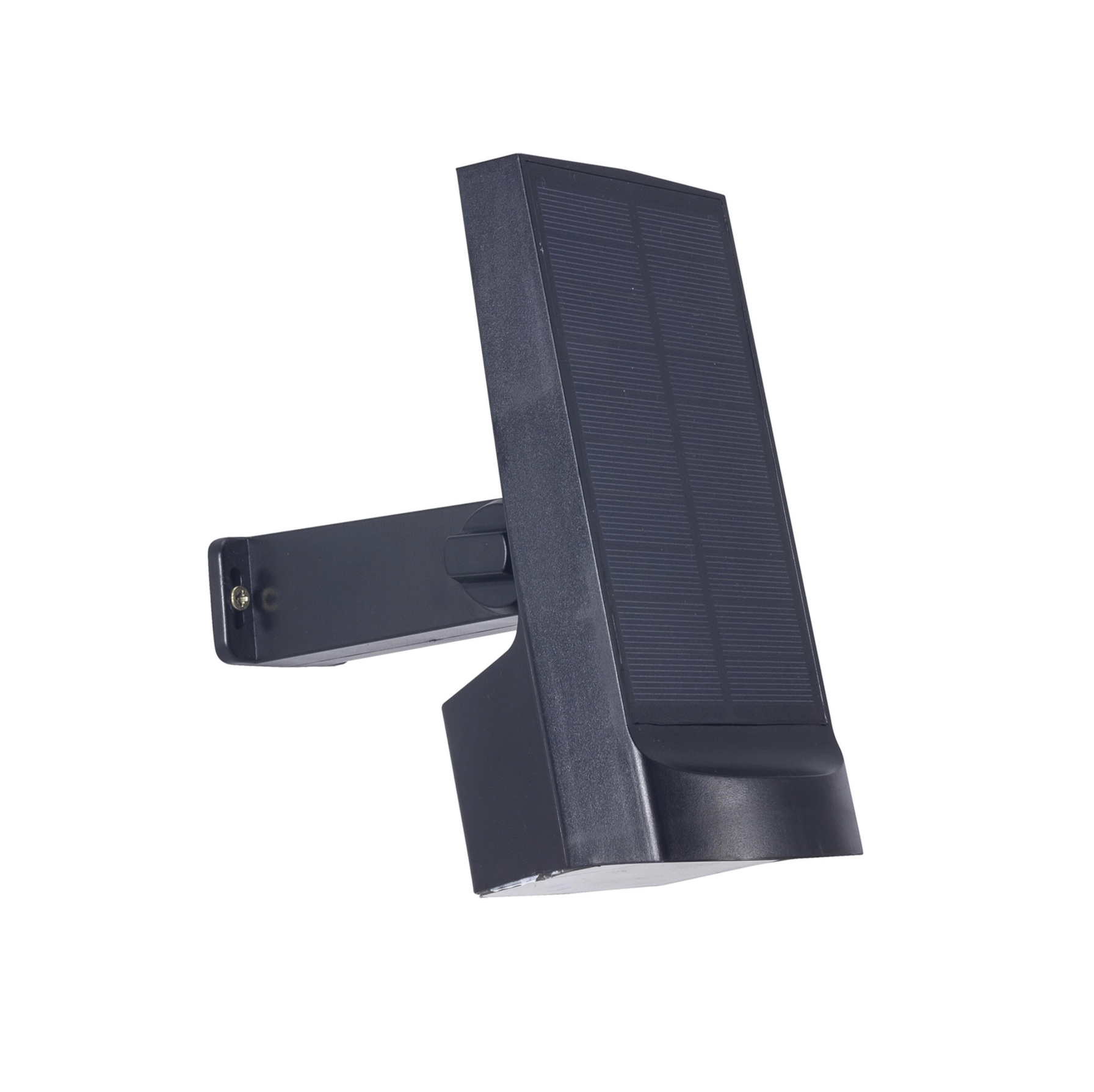 Solar Stake Spotlight 2 W 200 lm CCT IP65