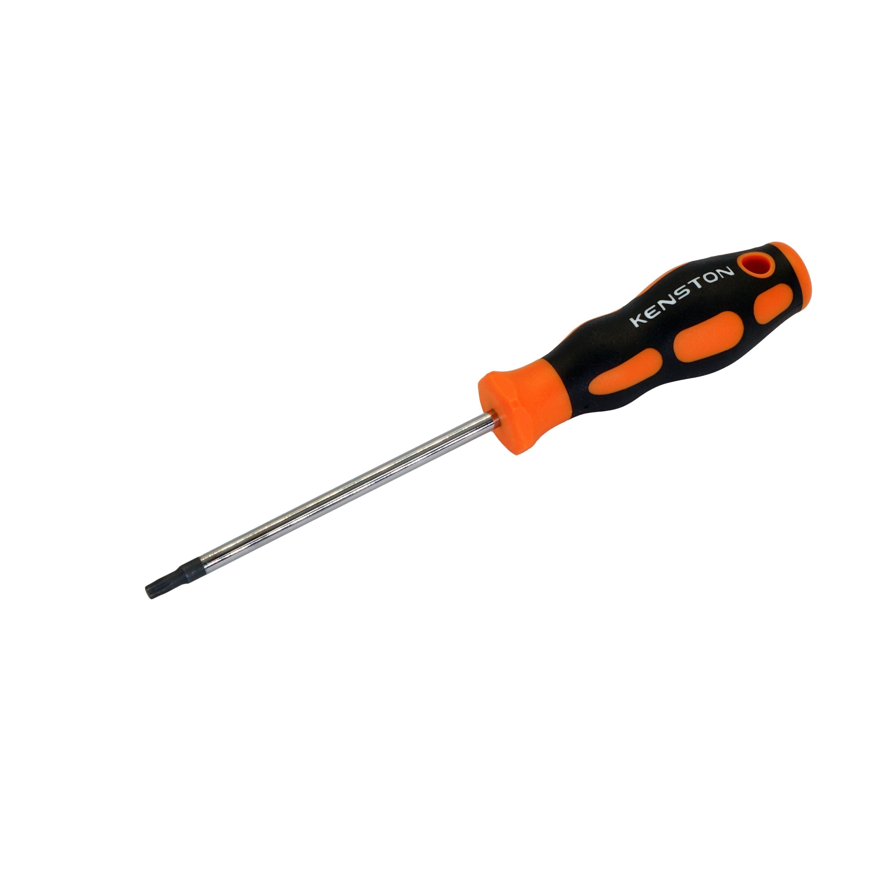 Torx Screwdriver T20 x 100 mm