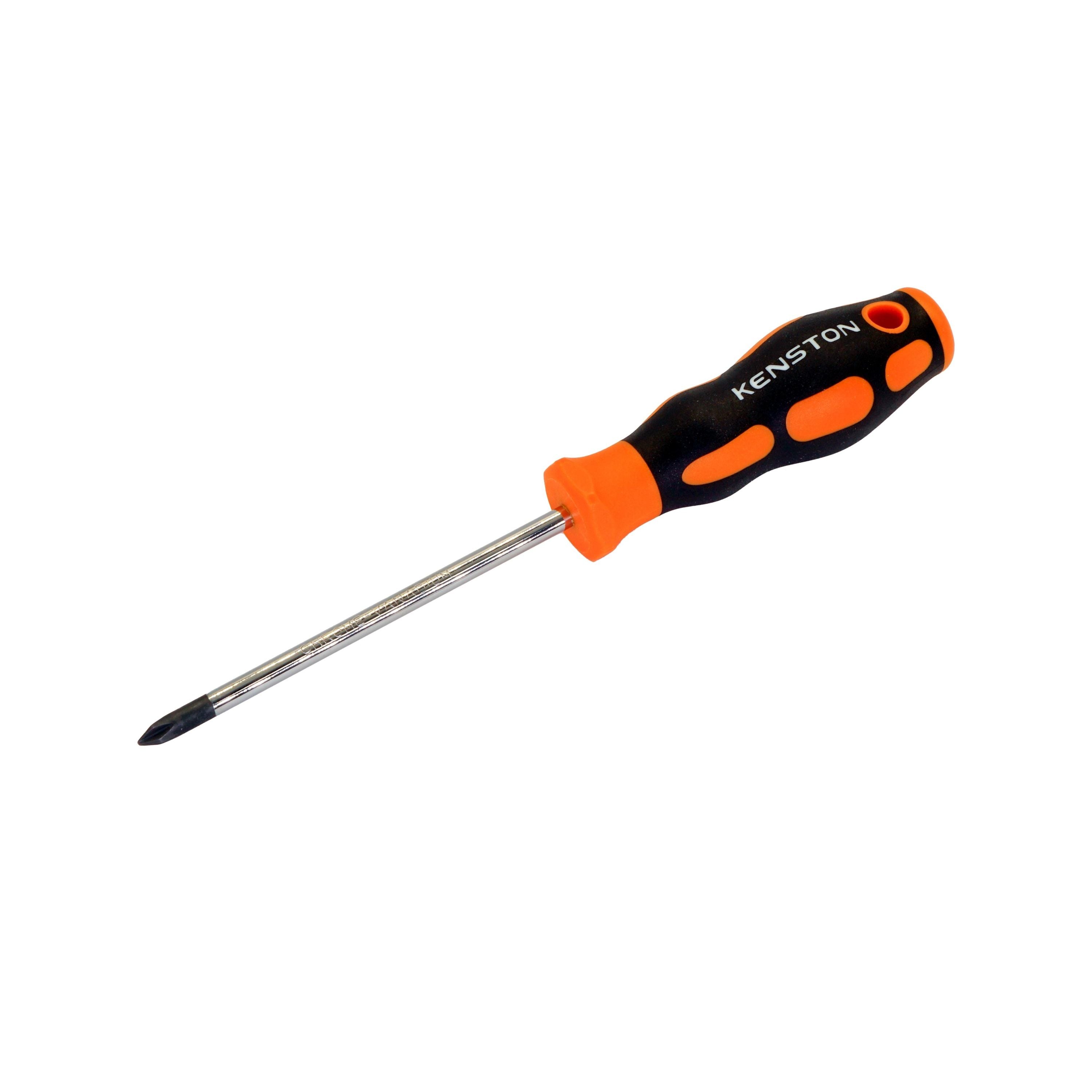 Phillips Screwdriver PH1 5 x 100 mm