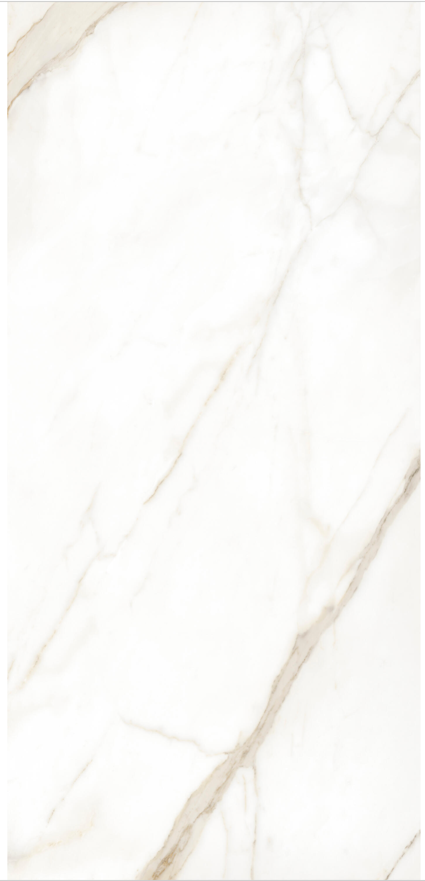 Porzellanplatte XXL Calacatta Gold – 120 × 260 cm – 3,12 m². 49,95€/m 