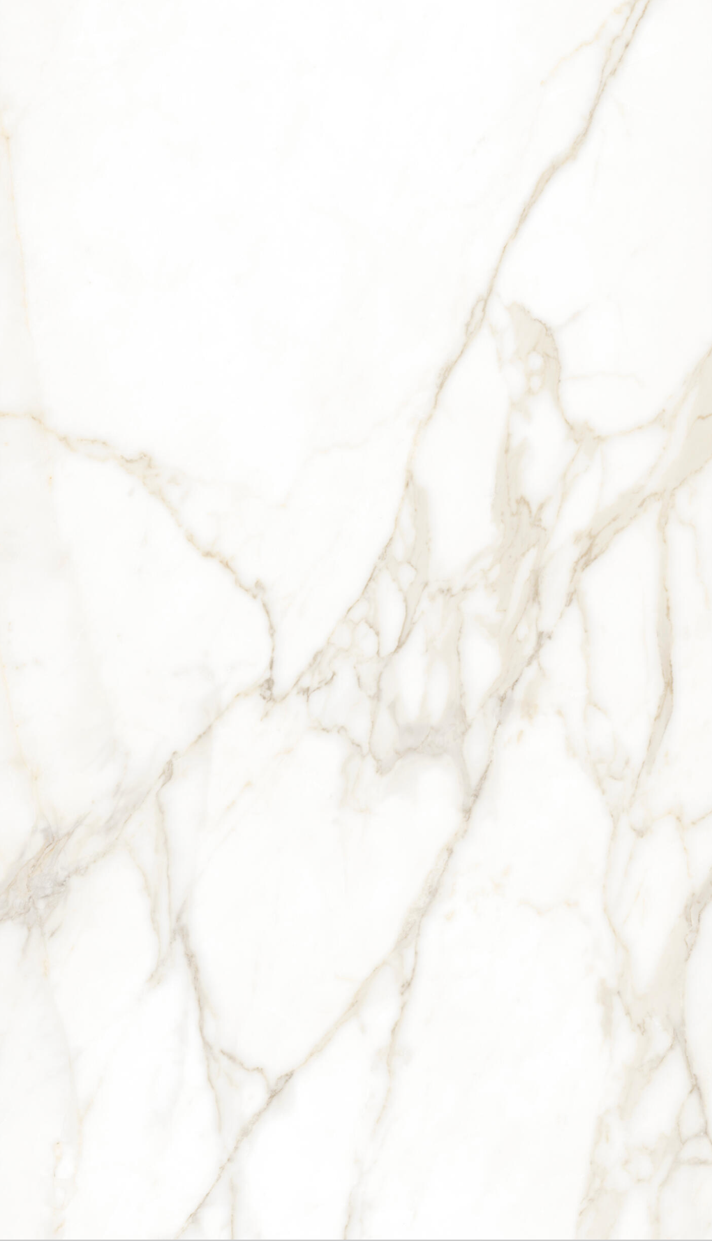 XXL Calacatta Gold porcelain tile – 120 × 260 cm – 3.12 m². €49.95/m