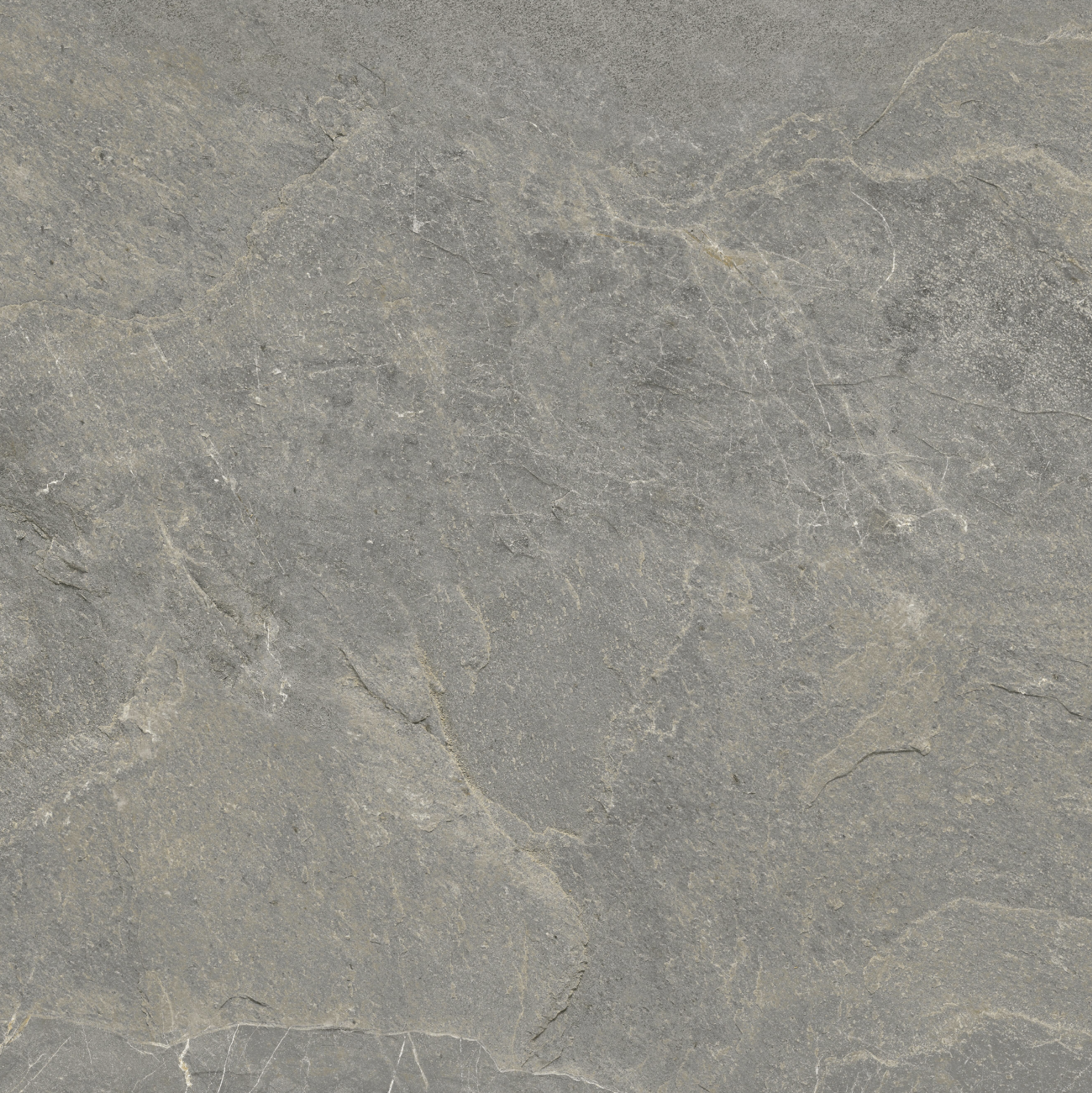 Buitentegel Ter Ash – 45×45cm – 10,95€/m²