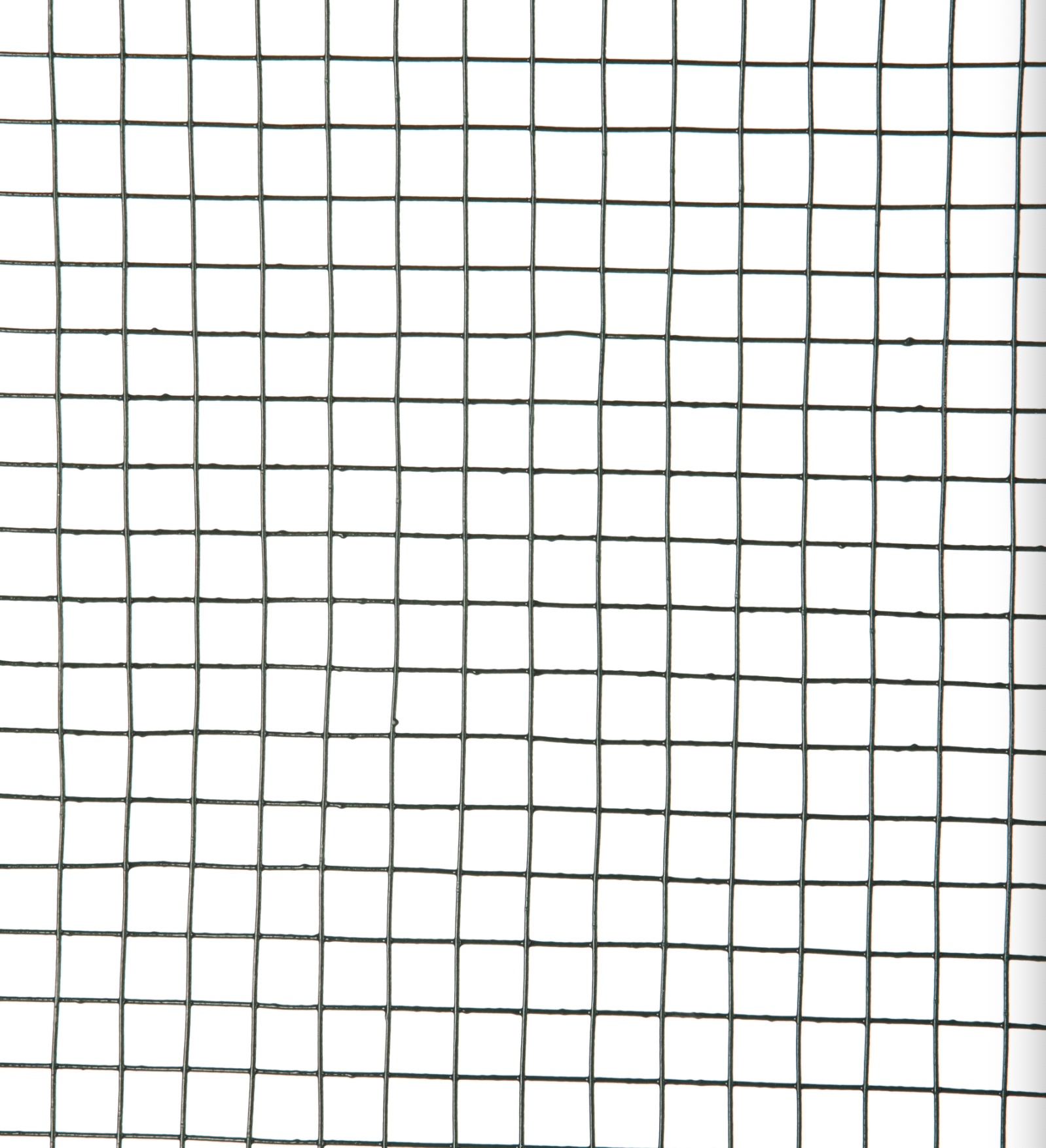 Galvanisiertes geschweißtes Drahtnetz – 1 × 25 m – 13 mm