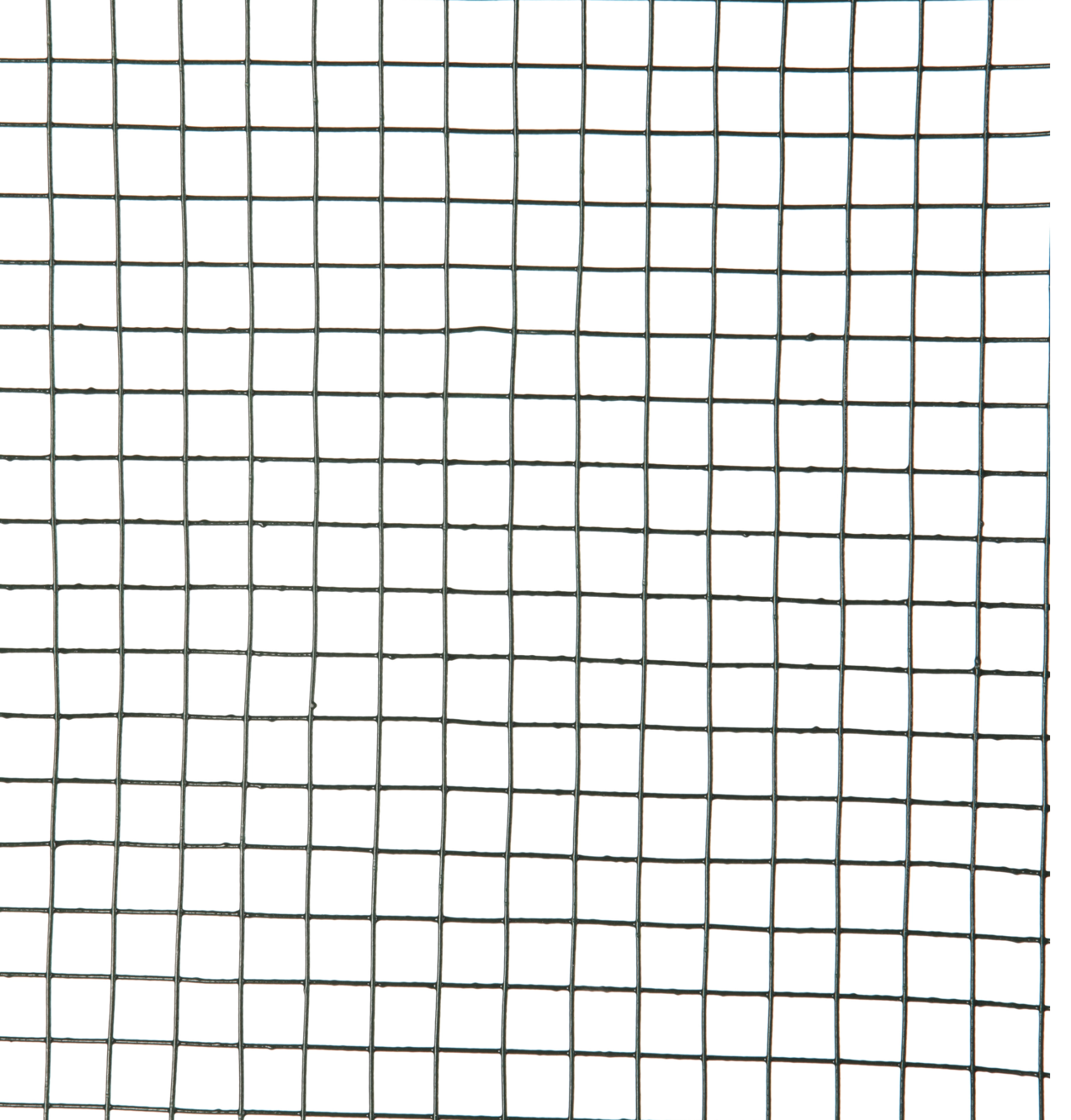Electrically welded wire mesh, green – 1 × 5 m - 3,65 €/m