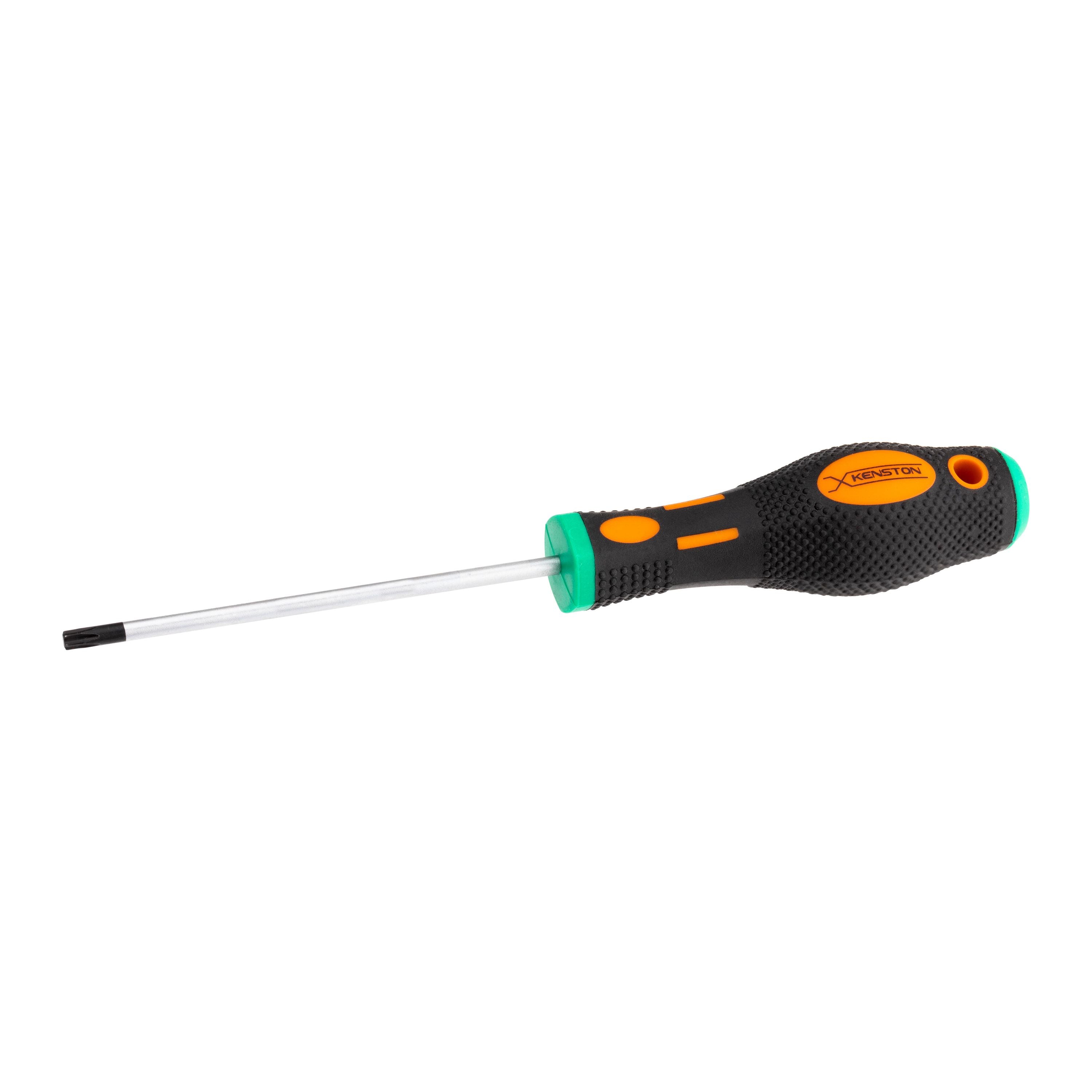 Torx Screwdriver T20 x 100 mm